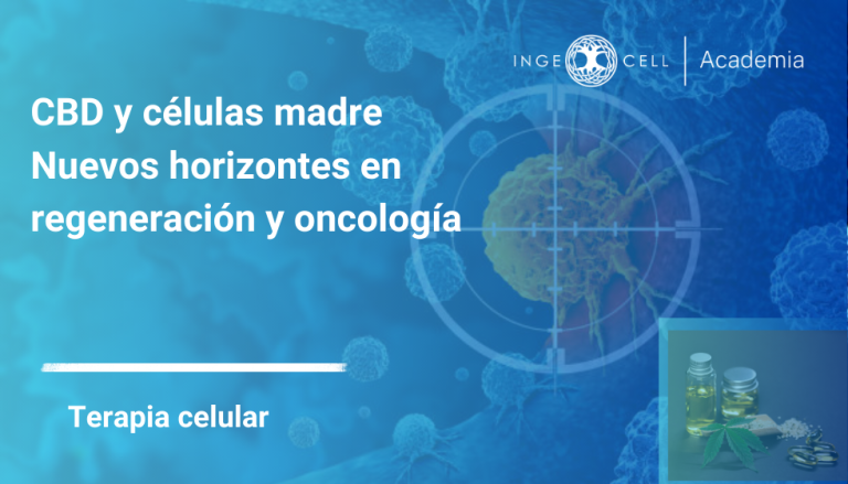 ¿Puede el CBD potenciar la Medicina Regenerativa? Nuevos hallazgos que vale la pena conocer