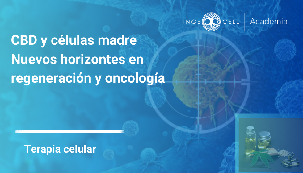 ¿Puede el CBD potenciar la Medicina Regenerativa? Nuevos hallazgos que vale la pena conocer
